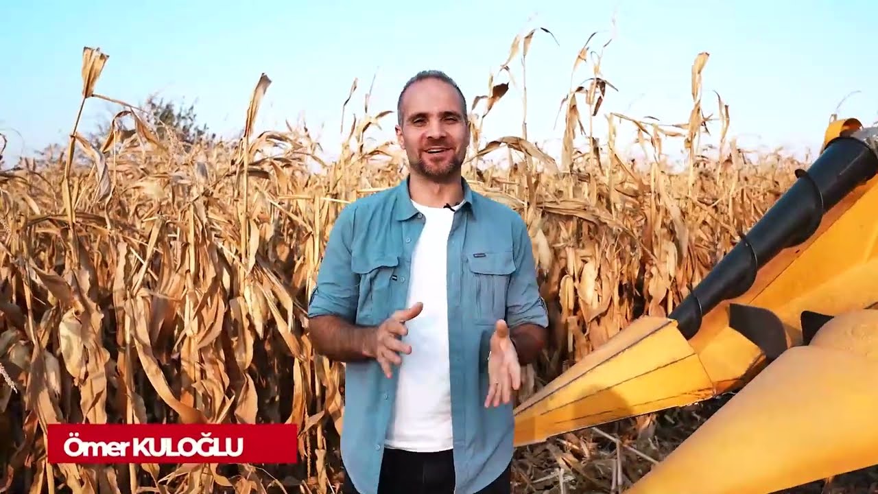 Elibol mısır hasat tablamızda Traktörmetre'ye konuk olduk.