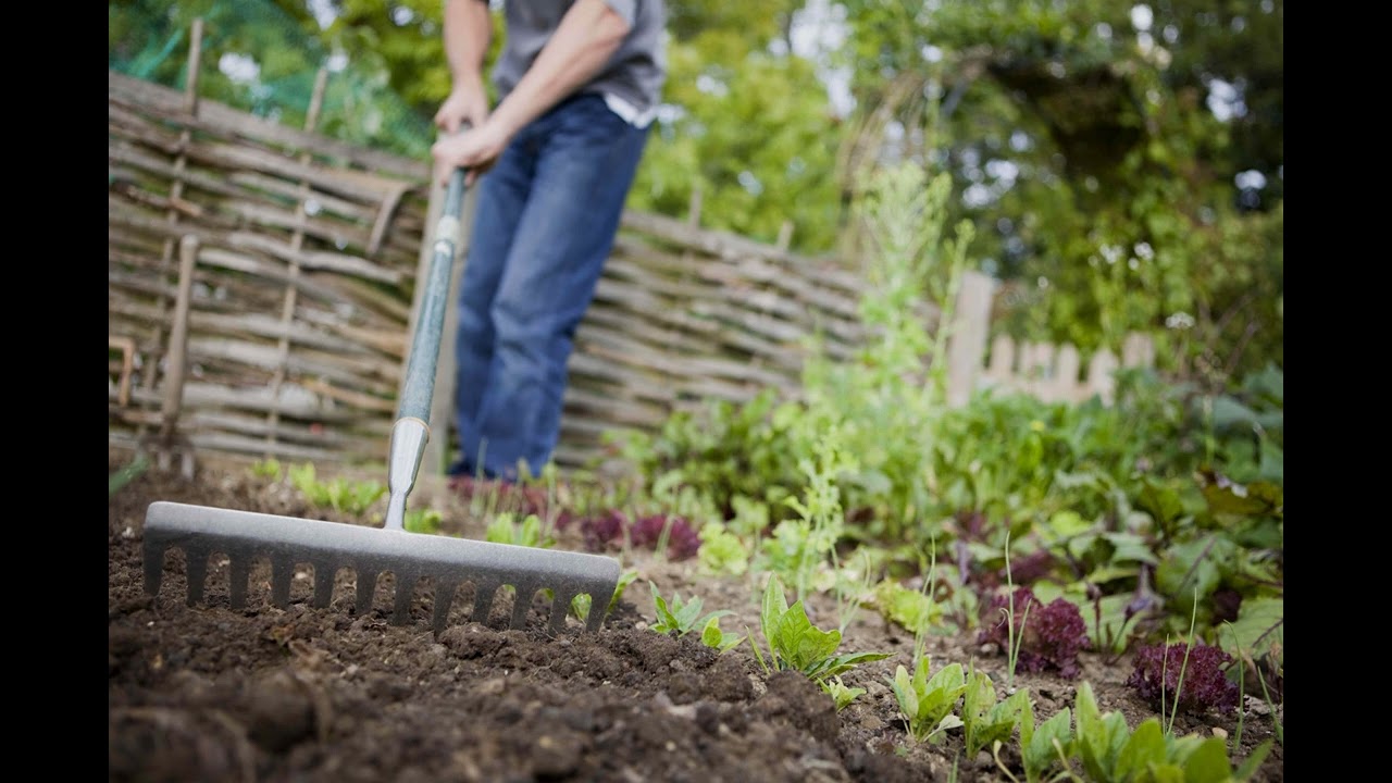 Early Garden Prep: 5 Tasks for a Bountiful Spring