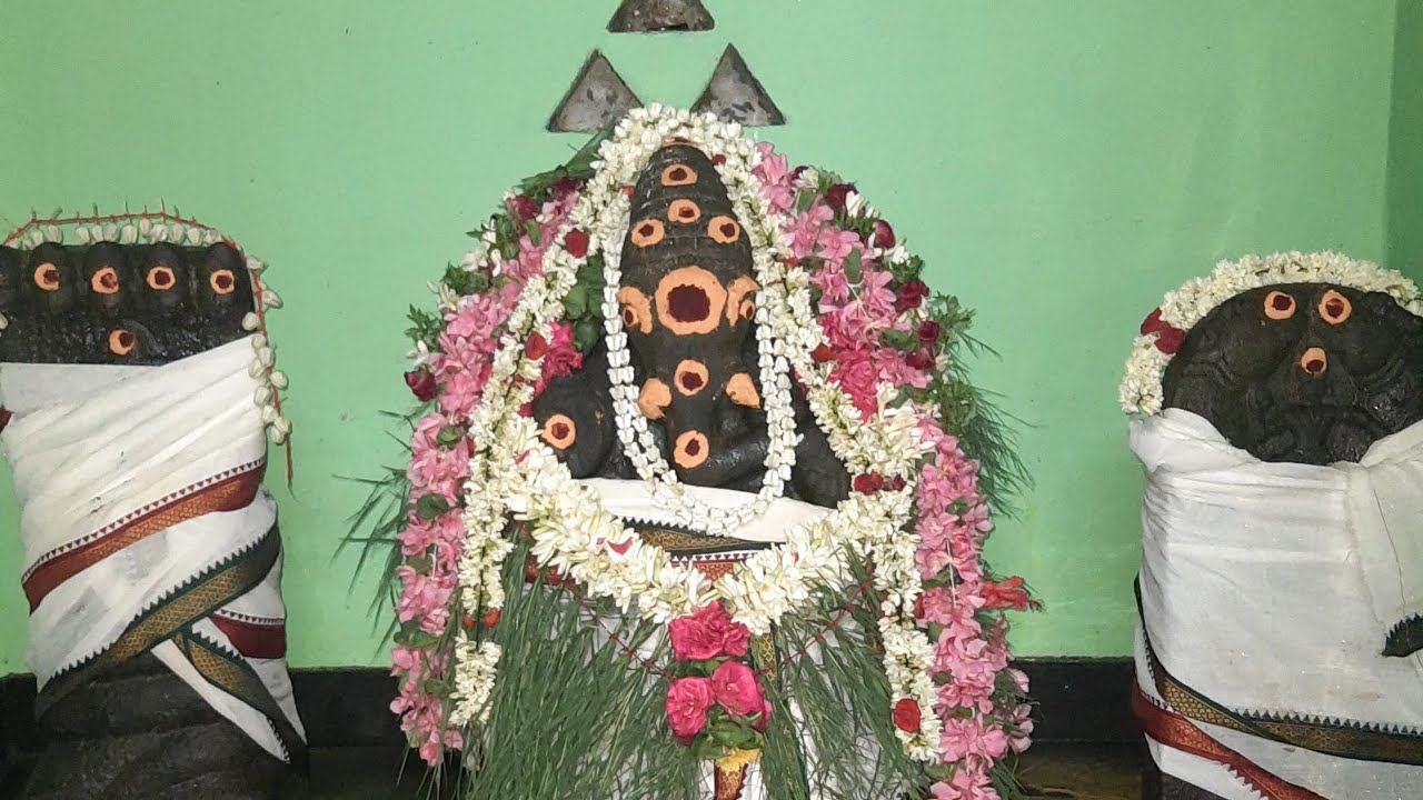 மகா சங்கடஹர சதுர்த்தியை முன்னிட்டு தெய்வ விநாயகருக்கு சிறப்பு அபிஷேகம் நடைபெற்றது 