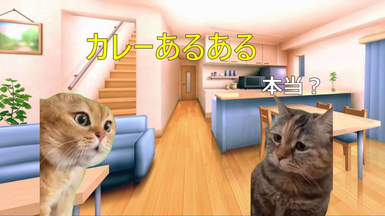 【猫ミーム】カレーあるある