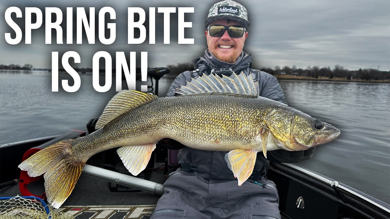 Spring River Walleyes are SMASHING Hair Jigs! (The Bite is ON)