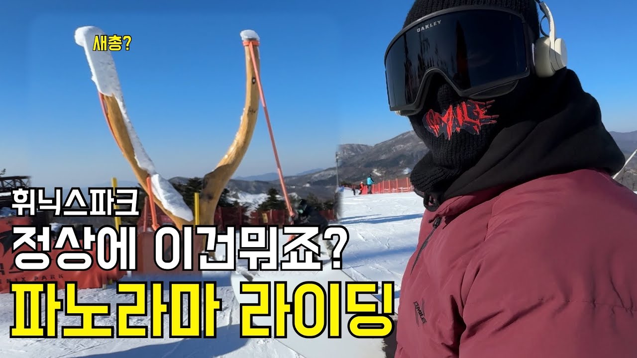 [24-25 휘닉스파크] 스키장 정상에 이건뭐죠? 휘닉스파크 파노라마 라이딩 #스노보드 #스노우보드 #snowboarding