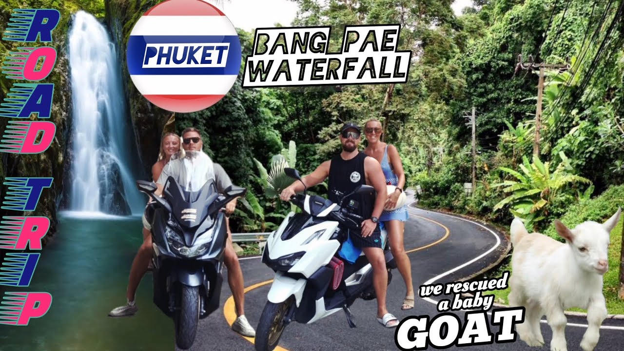 Phuket Road Trip Bangpae Waterfall Snake Encounter Baby Goat Rescue Honda Click 160 or Forza 350 