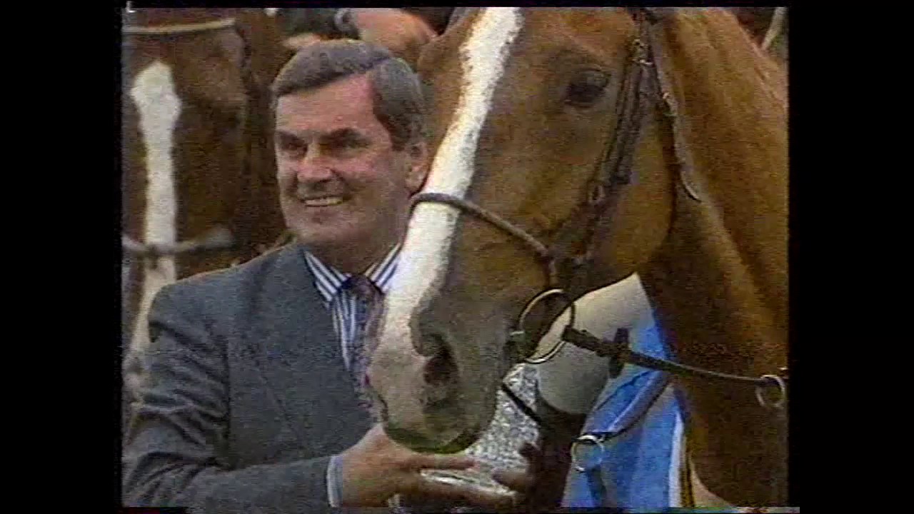 Kilcoltrim (ISH) bred by: Jimmy Whitty, Borris, Co. Carlow, Ireland.