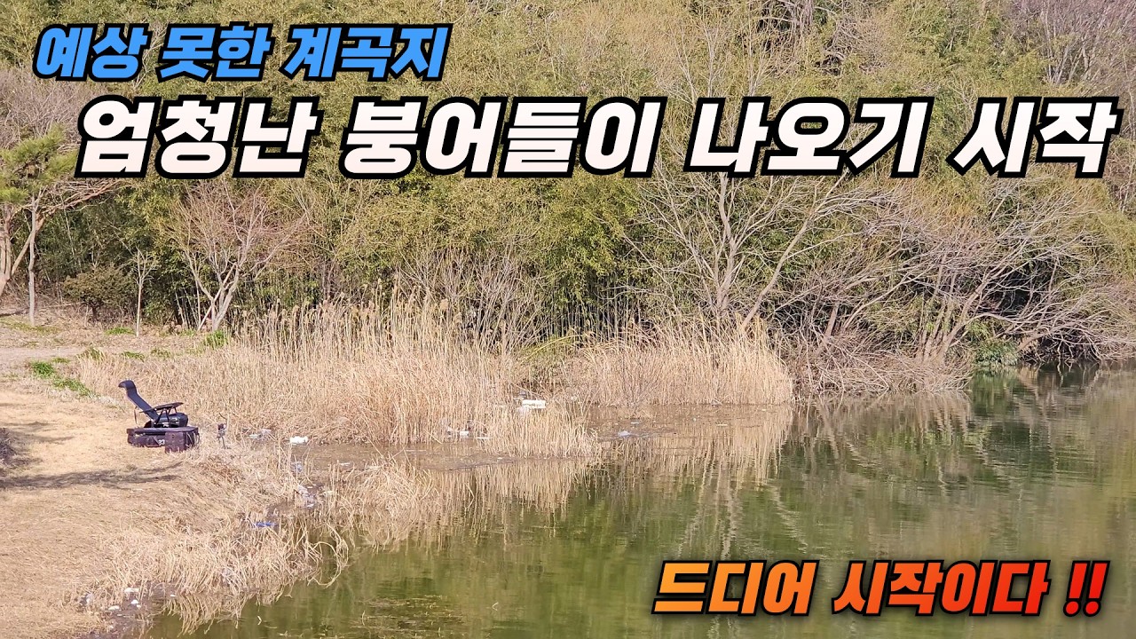 엄청난 붕어들이 붙기 시작 !! 봄 시작이다