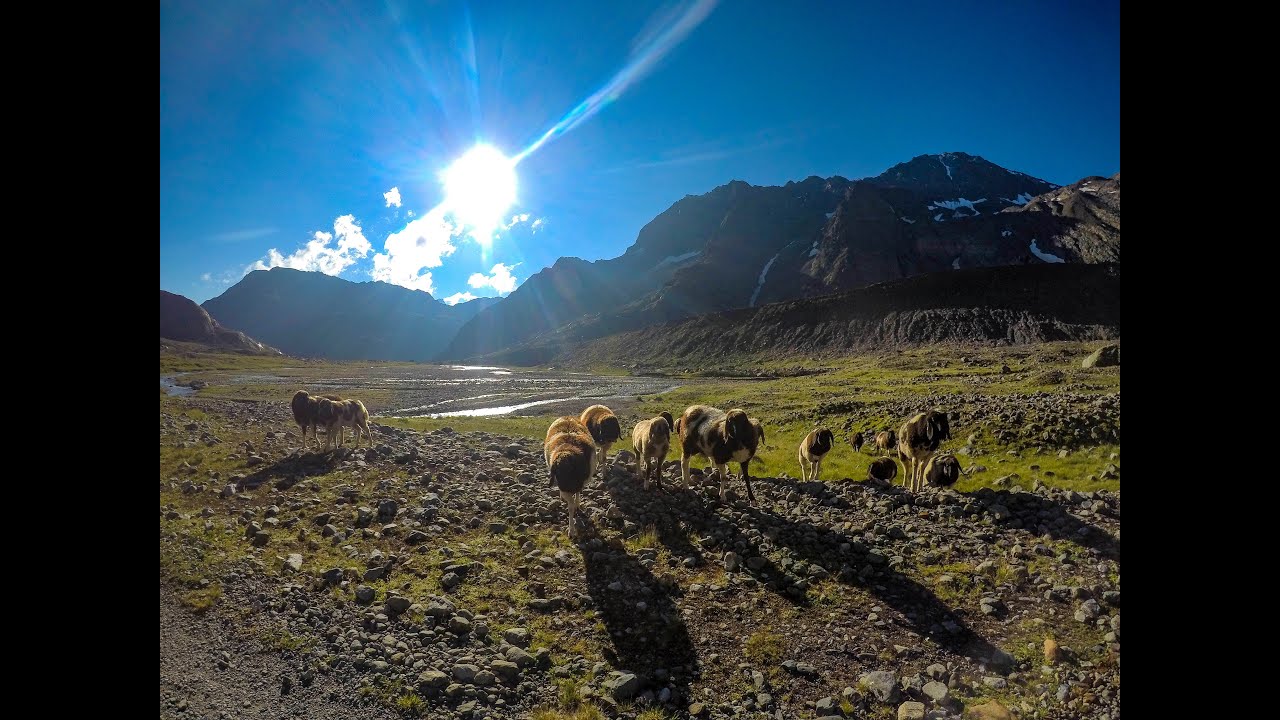 Stubaier Höhenweg - August 2020