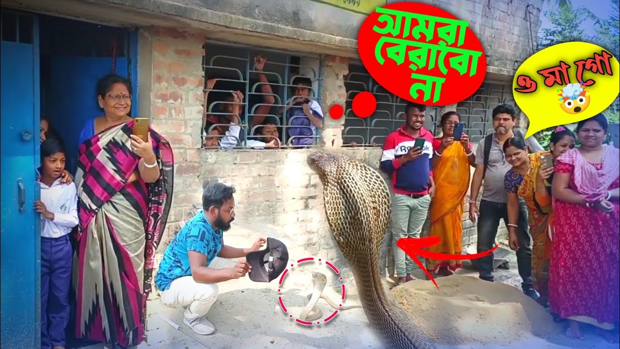 বাচ্চাদের স্কুলের সামনে বিষধর গোখরো ❕ আতঙ্কিত হয়ে গেলো পুরো গ্রামবাসী |  Rescue By Samiran Barik  |