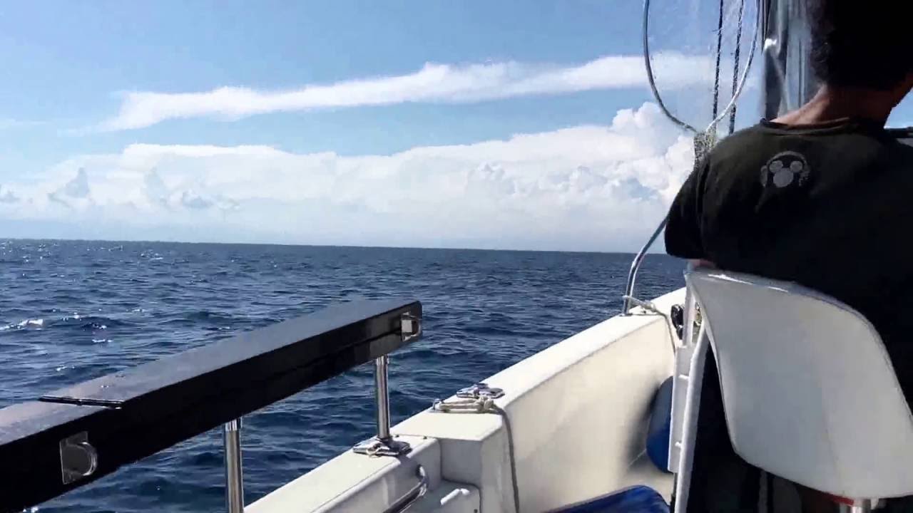 第二翔栄丸 久里浜〜城ヶ島 ヤマハ YF-23