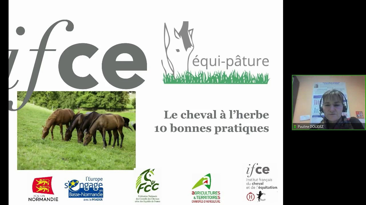 10 recommandations pour bien gérer le cheval à l'herbe - P. Doligez