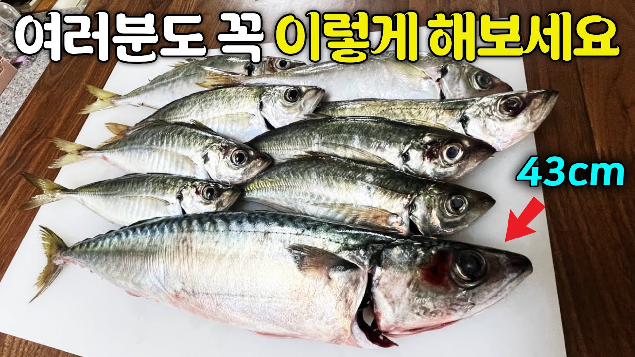 가장 의미있는 낚시한끼