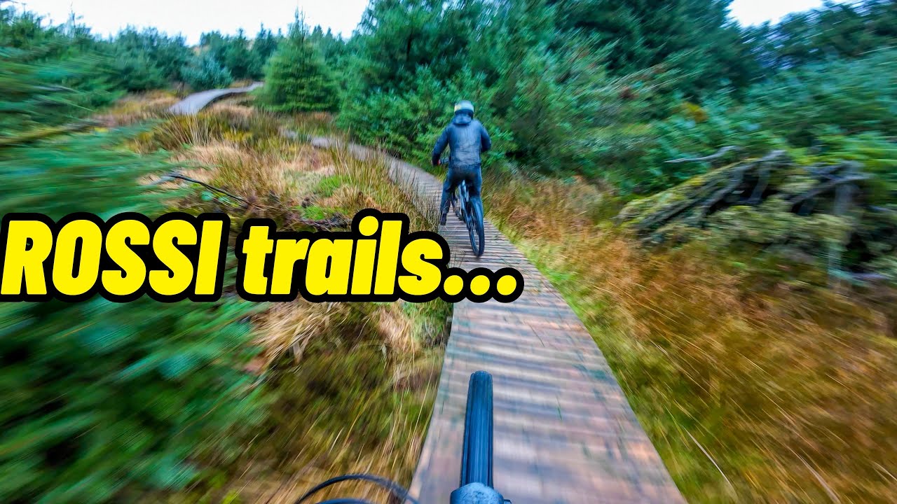 Back to basic trail riding…