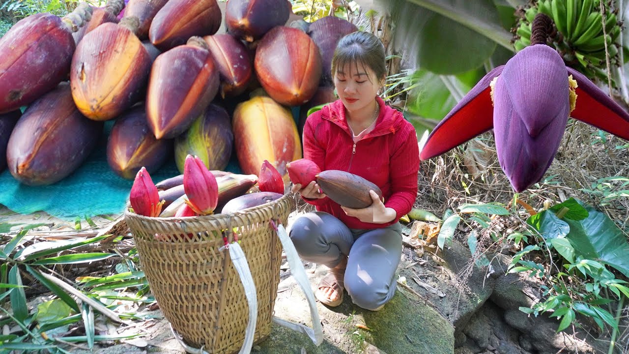 Harvesting Wild Banana Flower And Vegetable Goes to countryside market sell - My Bushcraft