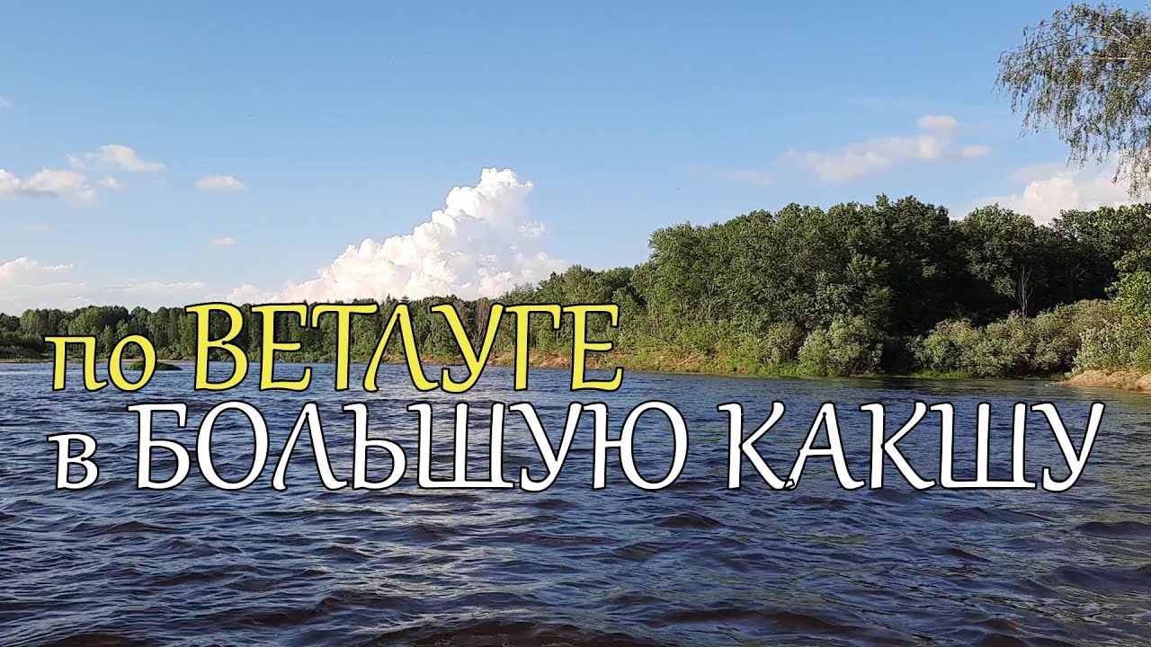река ВЕТЛУГА 🎣 реки Малая и Большая КАКША 🐟 Сплав НАОБОРОТ 😃