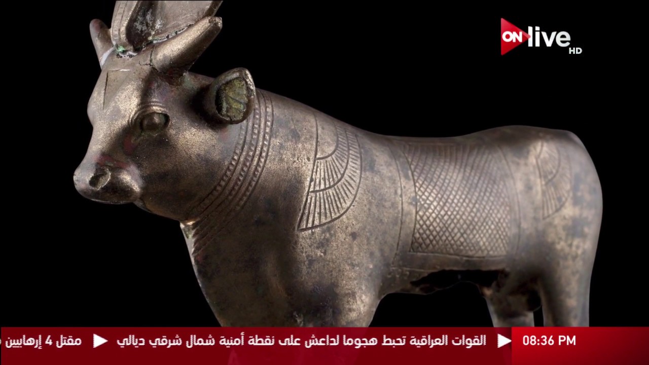 زاهى و الفراعنة - الثور أبيس .. الصورة الحية للإله 