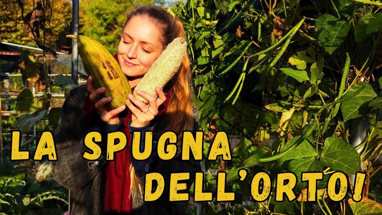 Come trasformare la LUFFA VERDE  in una SPUGNA NATURALE (Facile e Zero Sprechi!)