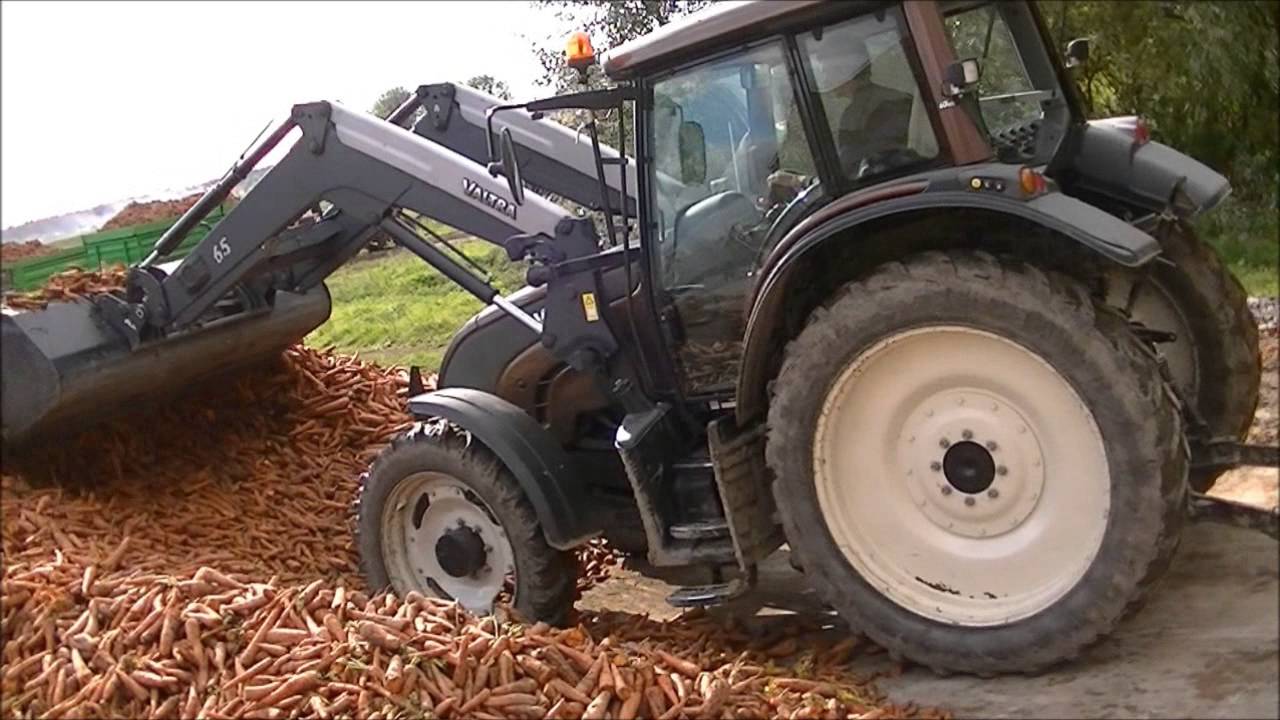 Marchew 2013_wywóz i zbiór - Valtra / Ursus / John Deere //HD//