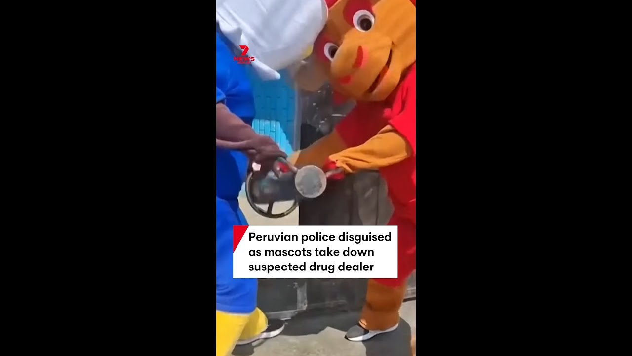 Peruvian police disguised as mascots take down suspected drug dealer