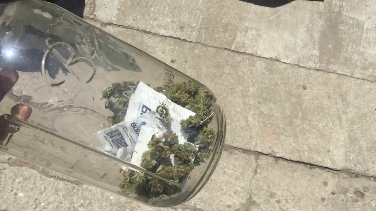 2020 May Cali outdoor (21+) #marsts1000 #acinfinity #coolgrows