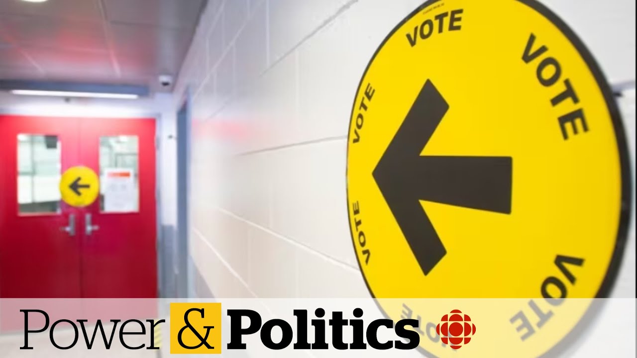 Who came out on top in last night's federal byelections?