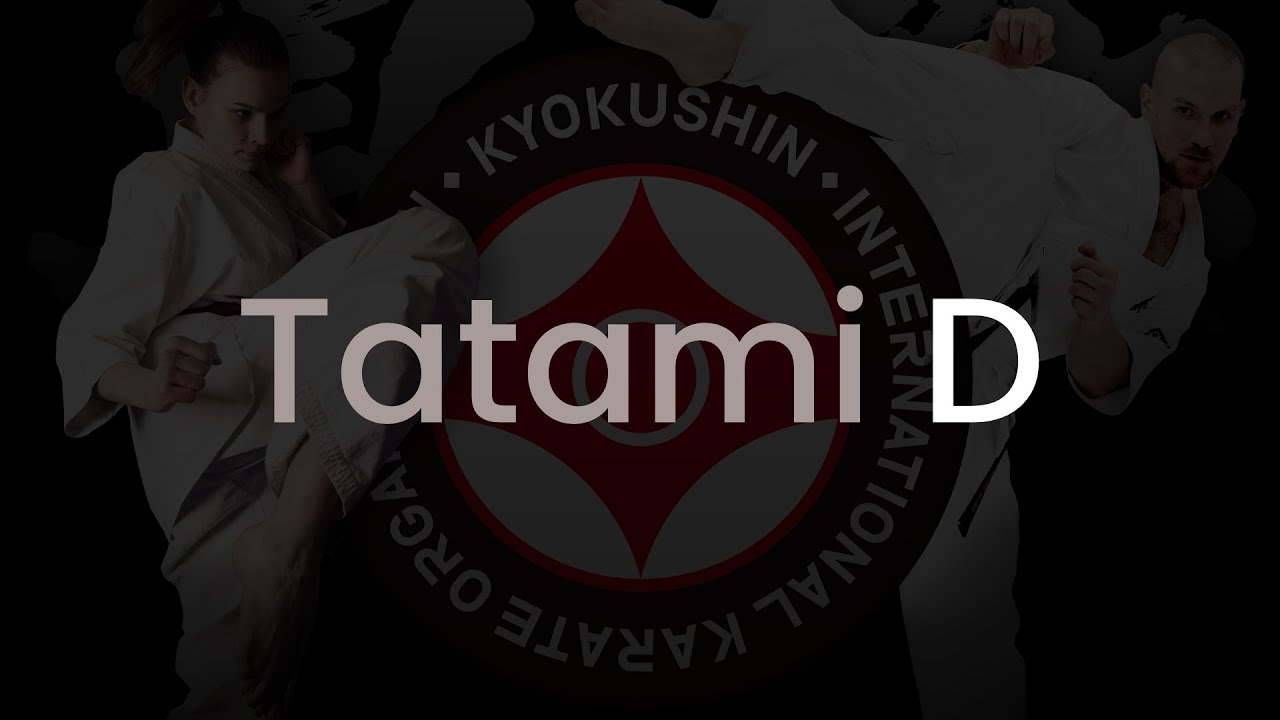 19th European Open Karate Championship. Kyokushin Karate European Cup - Tatami D