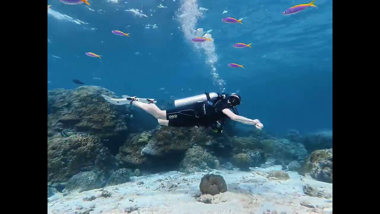 Thailand Underwater DJI Action 6