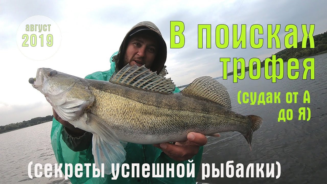 В поисках трофейного судака. Ловля судака на джиг летом. Как поймать и где искать судака.