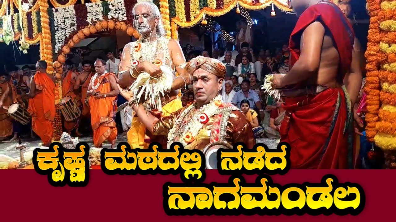 Udupi Krishna Temple || ಕೃಷ್ಣ ಮಠದಲ್ಲಿ ನಡೆದ ನಾಗಮಂಡಲ