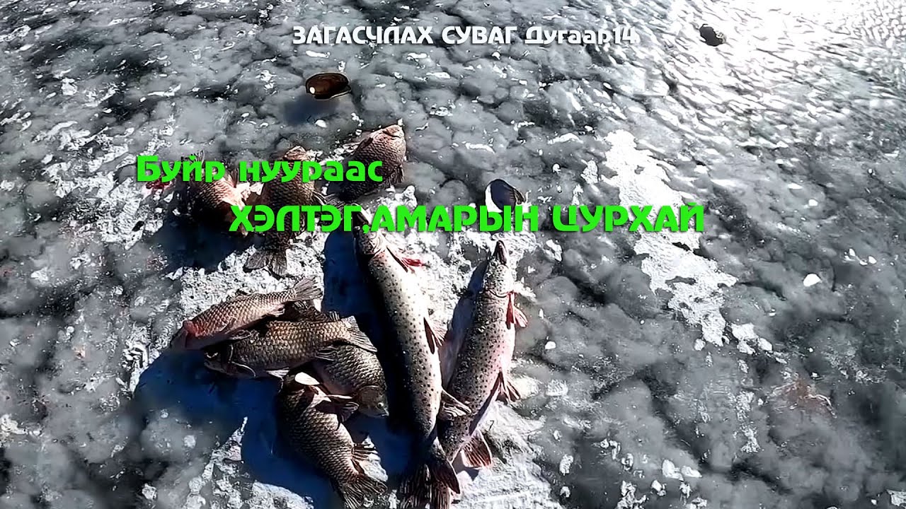 zagaschlah suvag  ЗАГАСЧЛАХ СУВАГ Дугаар14 Буйр нуураас зөвшөөрөлтэйтор татлаа 