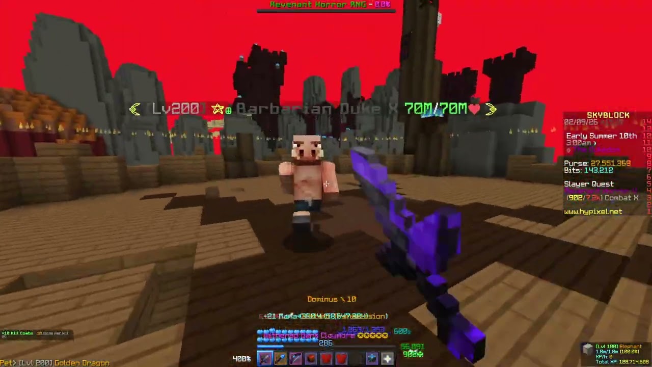 Damage Hypixel Skyblock