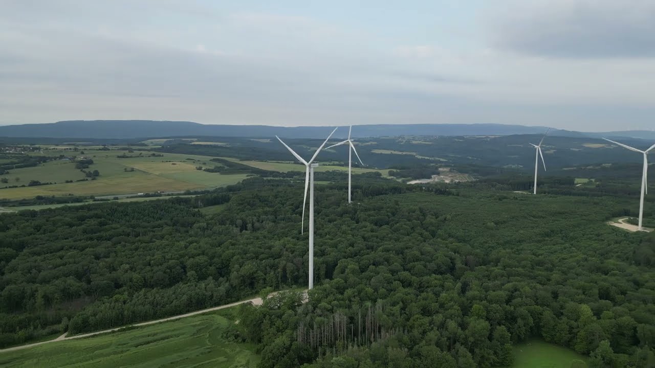 Éoliennes & Coquelicots