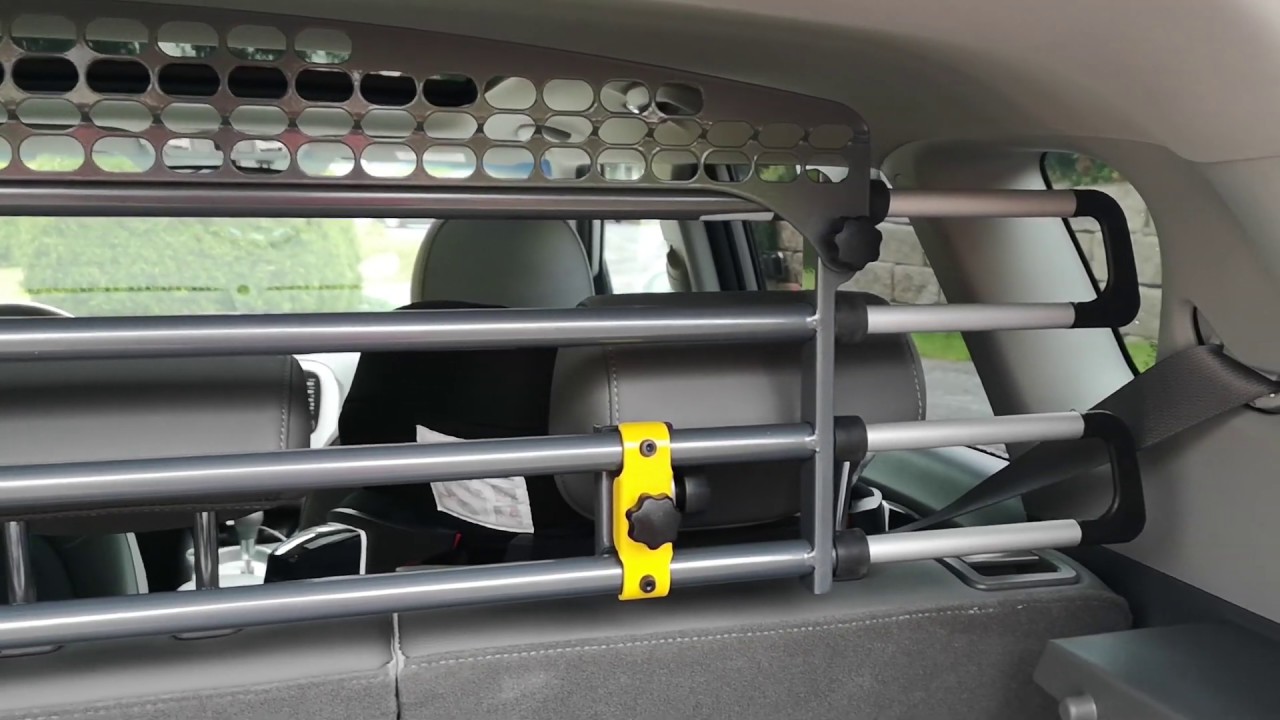 Mim Safe Variobarrier in Kia Soul EV