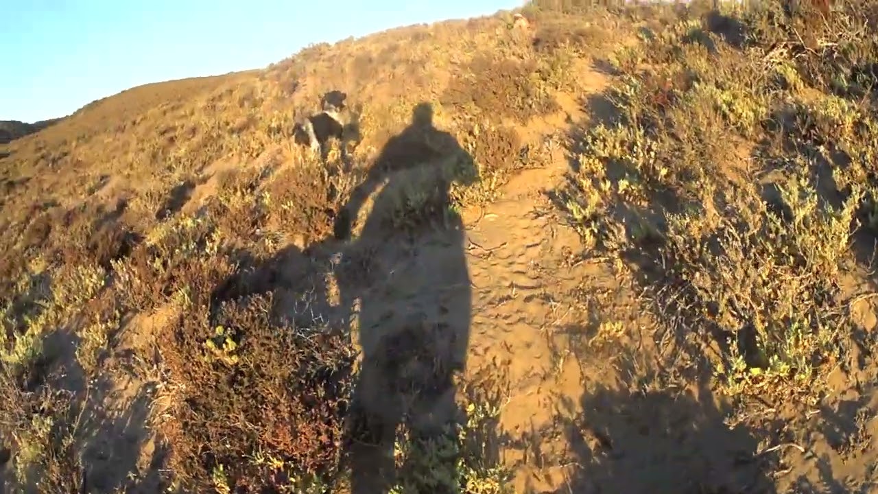 Cetreria. buen trabajo pero no siempre se gana