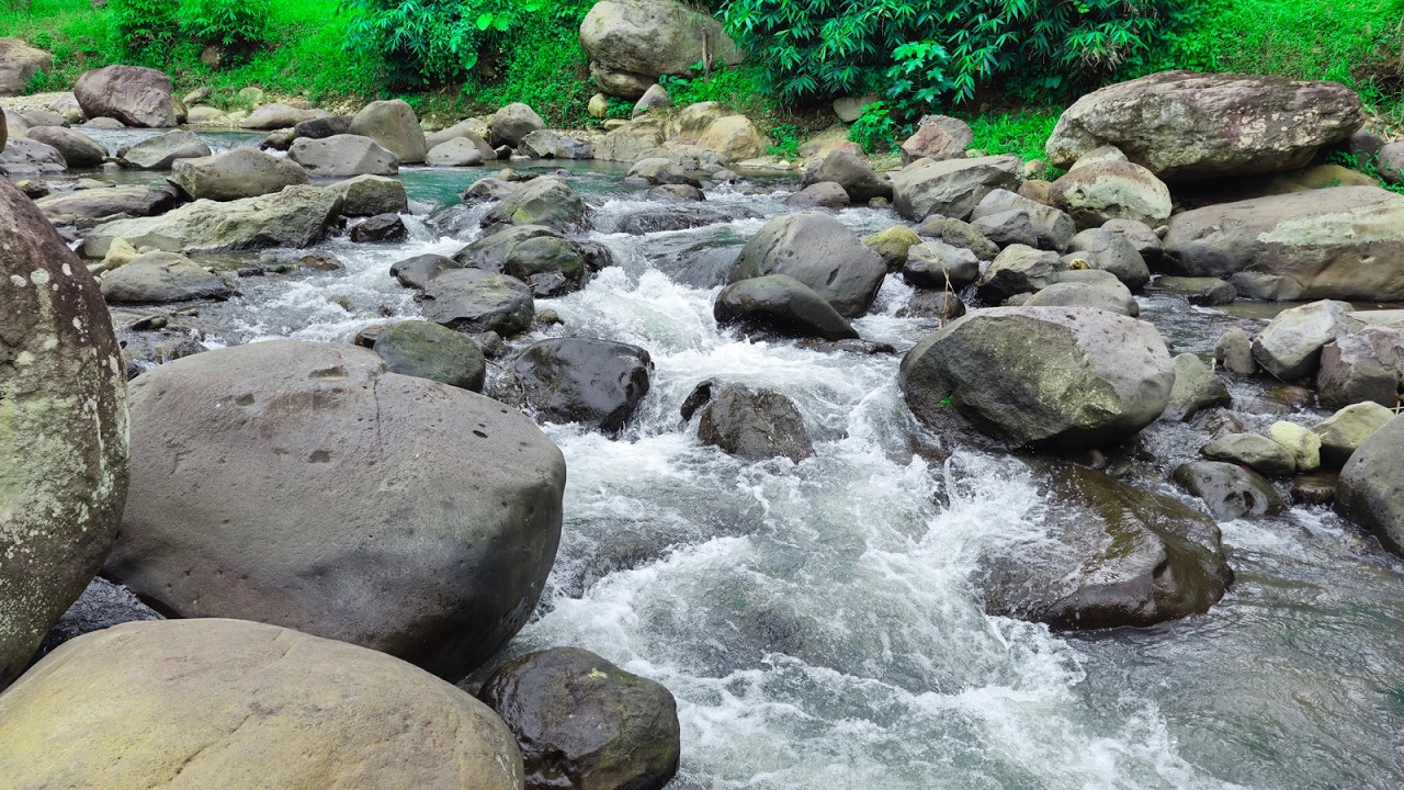 Real River Water Flow | Stress Relief in Minutes | Gentle River Current | Peaceful Nature Escape