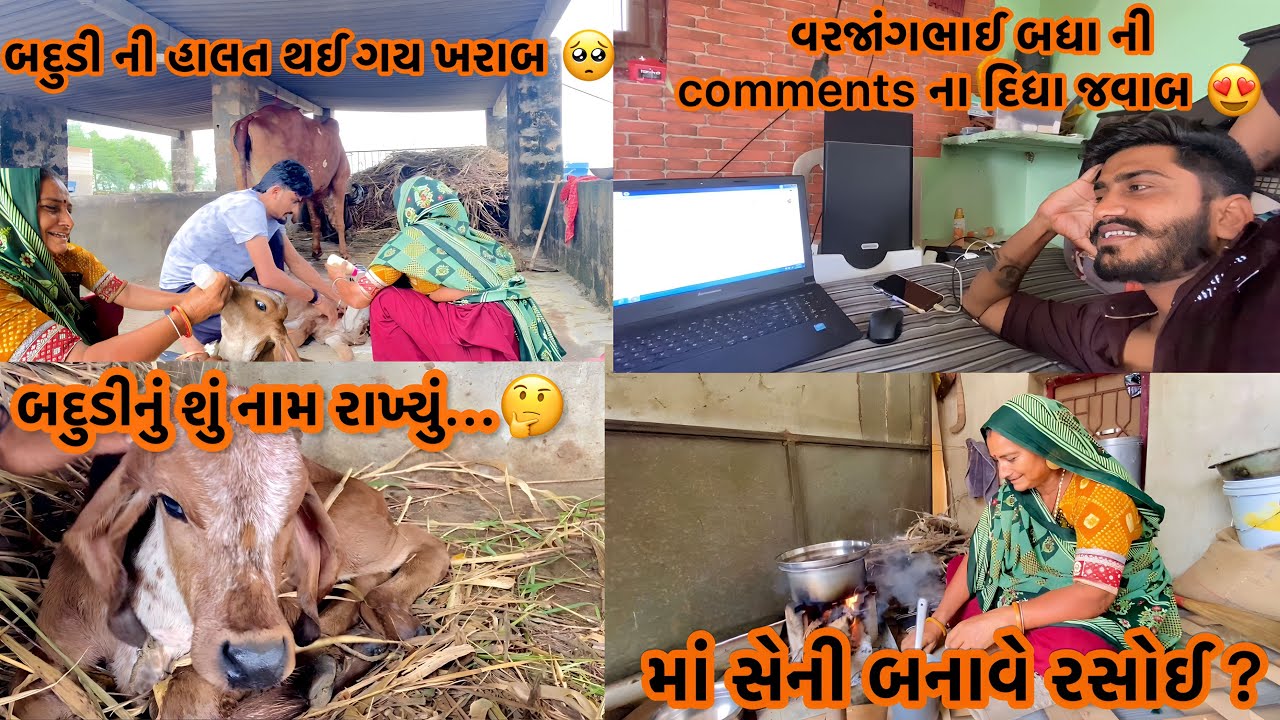 બદુડીનું નામ રાખી દિધુ 😍✨