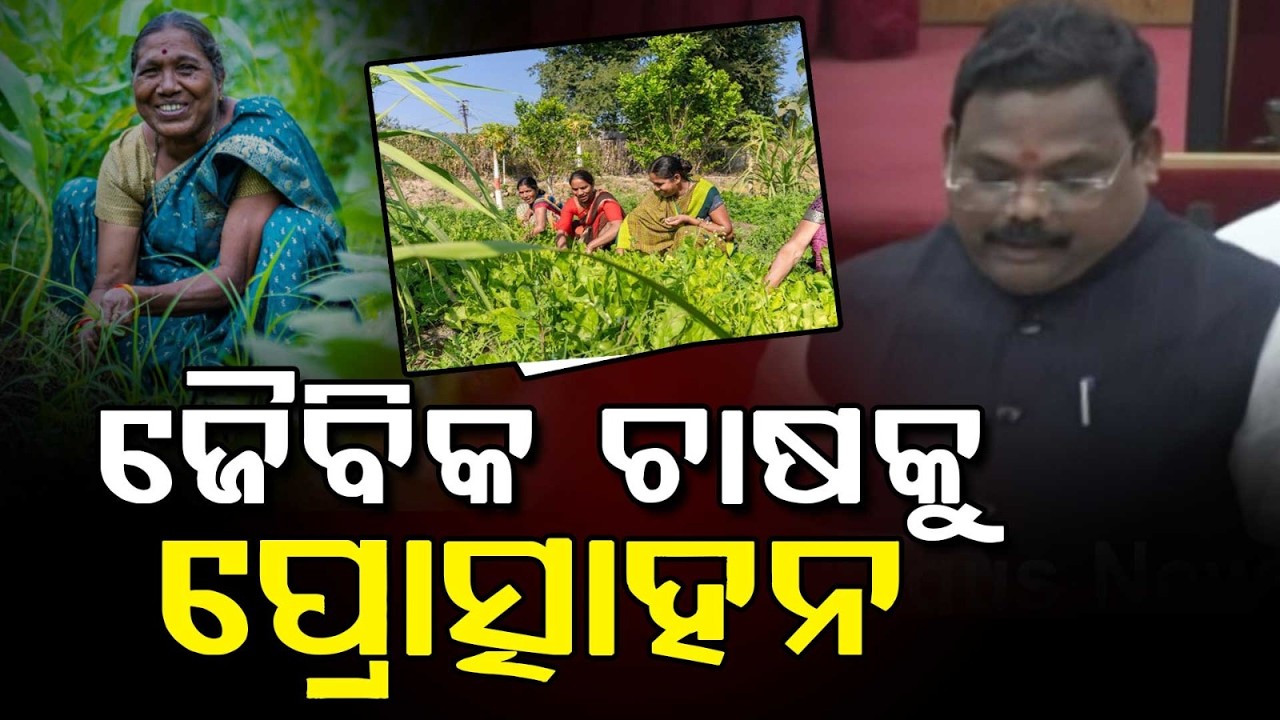 ଜୈବିକ ଚାଷକୁ ପ୍ରୋତ୍ସାହନ.. | Odisha Launches Balabhadra Organic Farming Mission 2025-26 | Argus News