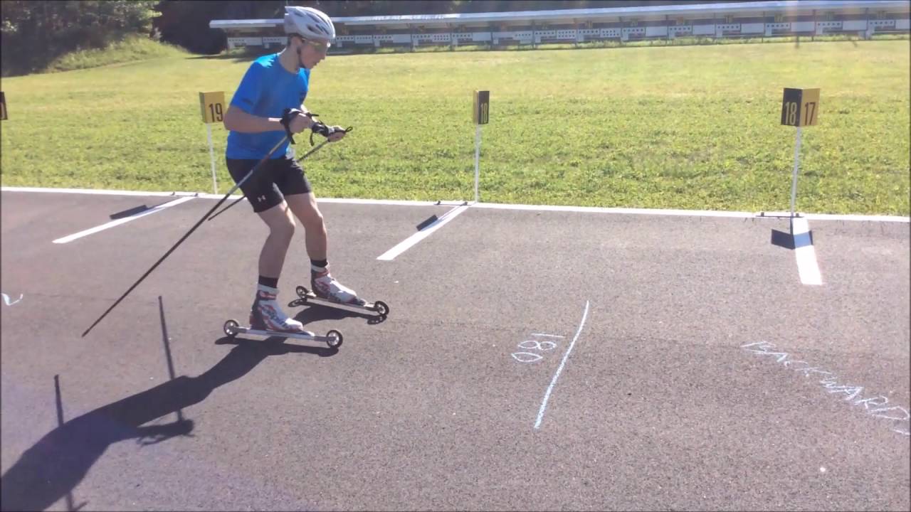 Agility Course Action