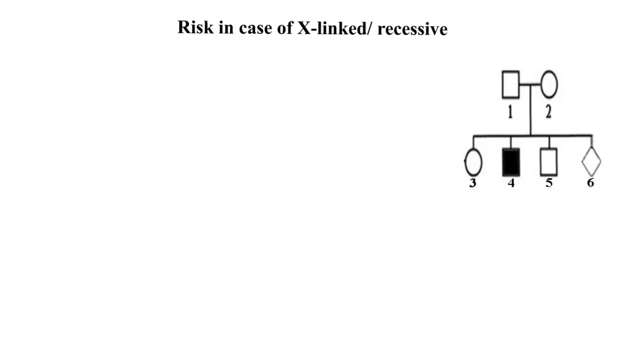 Grade 12 : #4 Risk calculation (x-linked recessive)