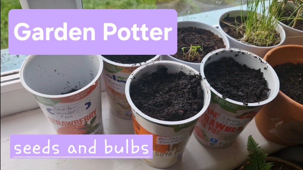 Garden Potter, seeds and bulbs