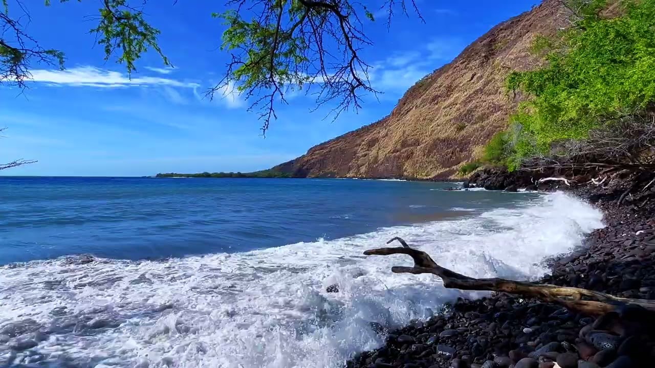 A Beautiful Day at Kealakekua Bay 1 of 2  - Island Horizon Videos 2001