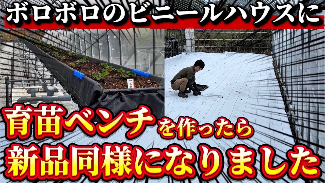 【衝撃】ボロボロのビニールハウスが超絶綺麗に！？育苗施設として再利用してみせます