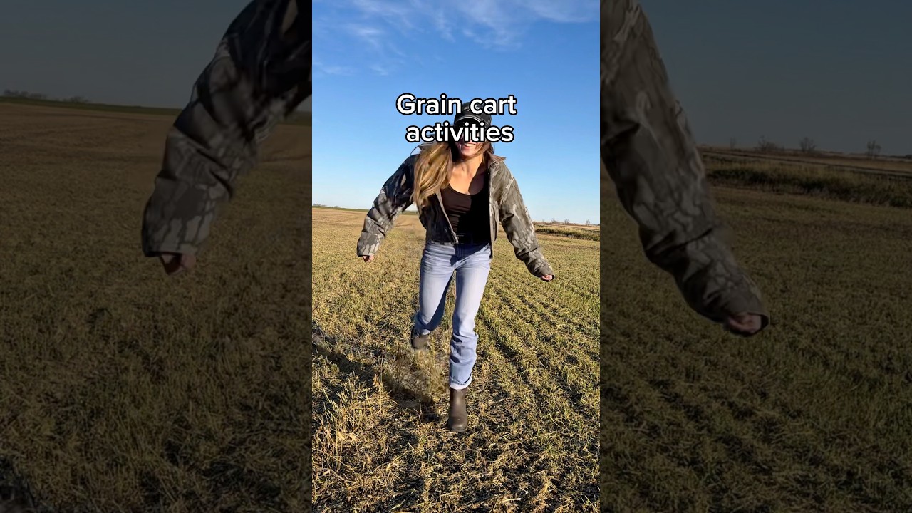 Grain cart activities 💀 #farming #harvest #funny