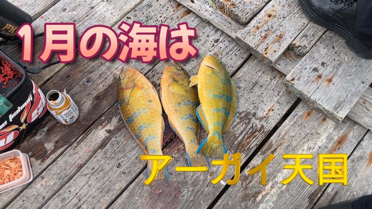 沖縄フカセ　tantakaチャンネル