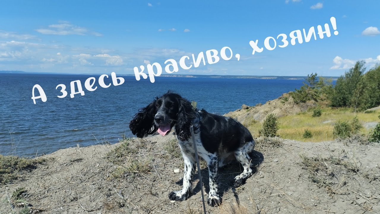 Приключения с Кимом!!! Арбугинская гора.