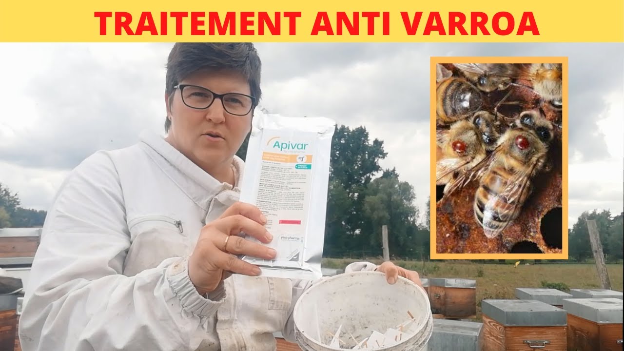 traitement  anti varroa apivar