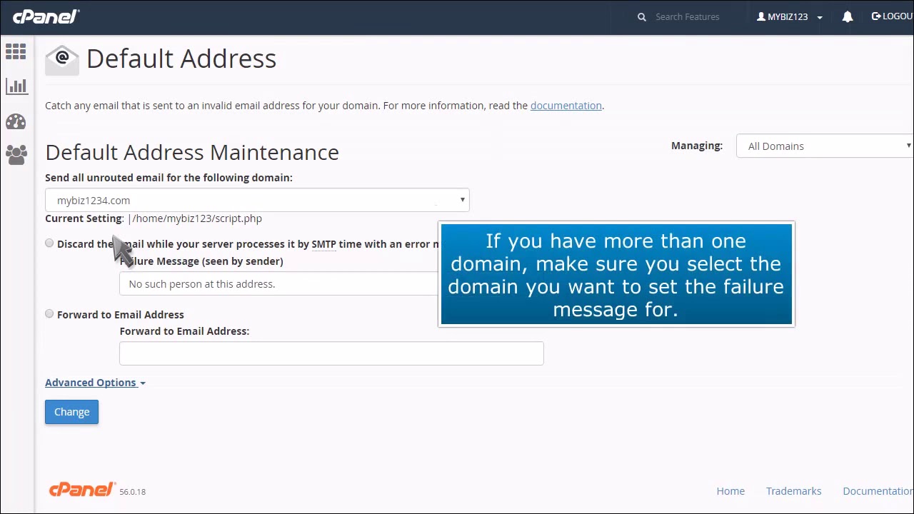 cPanel: How to Set a Return to Sender Failure Message for Unrouted Emails