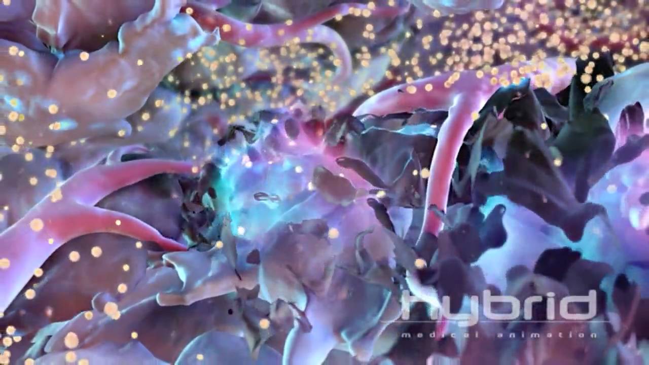Rexin-G Mechanism of Action HD