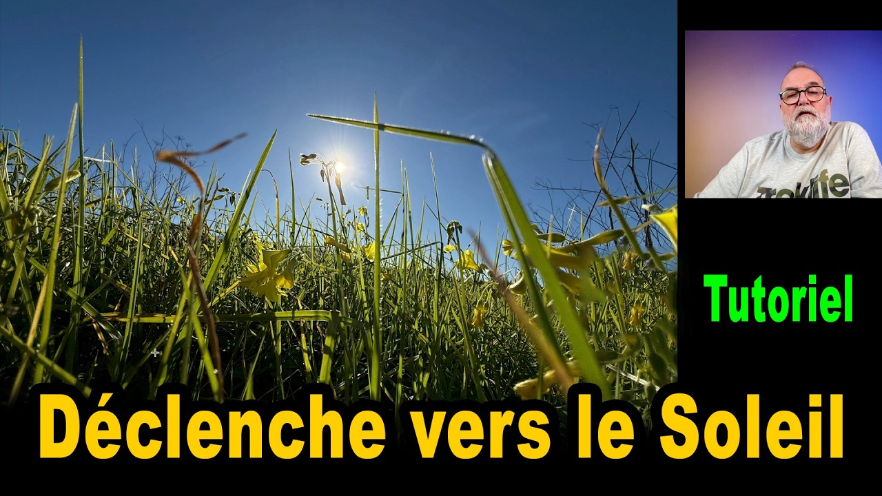 Fais tes photos à contre-jour et obtiens ce style asiatique très à la mode - EN FRANÇAIS