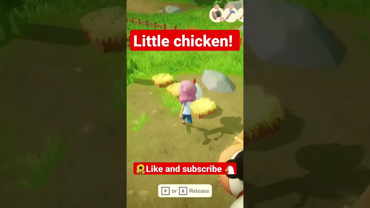 Little chicken! #everdreamvalley #farm #chicken