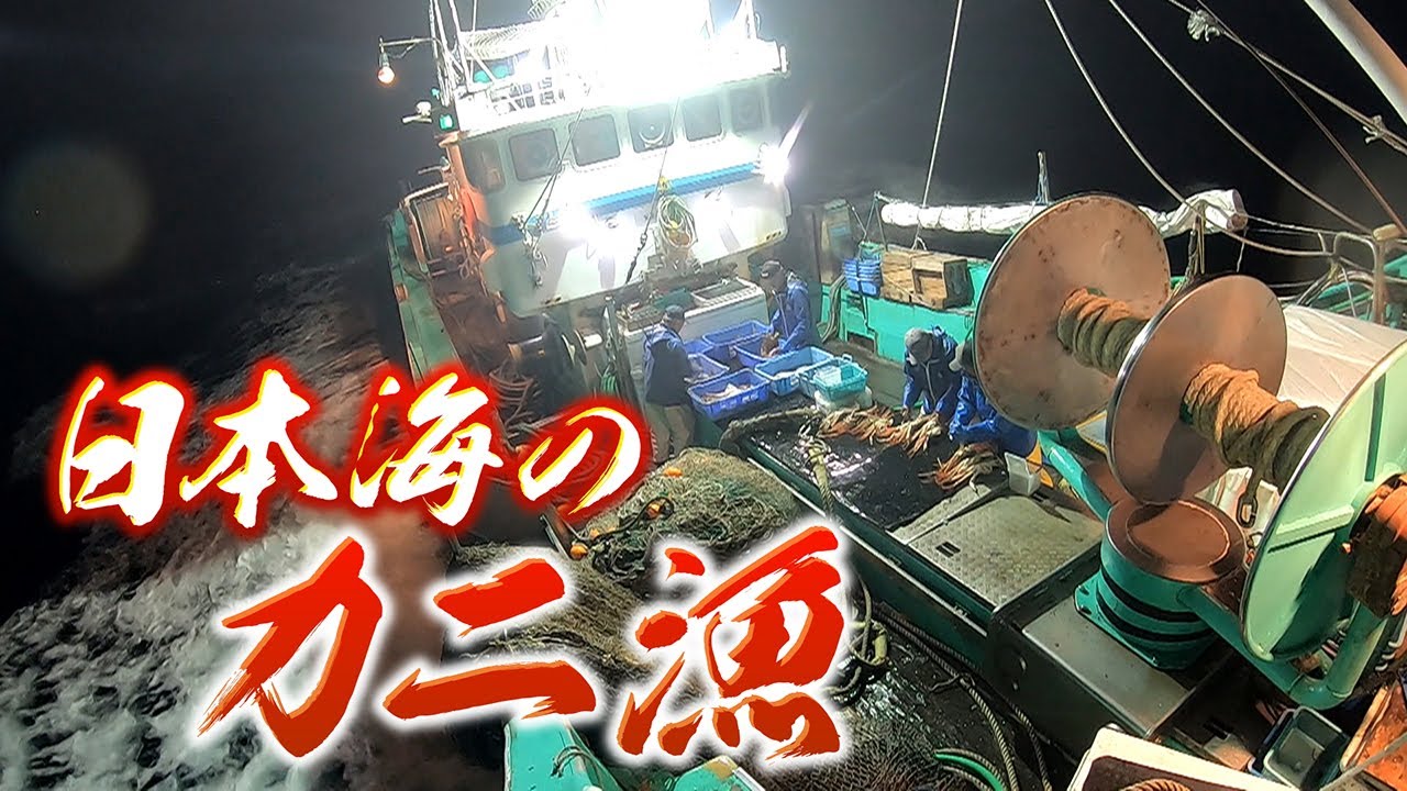 【過酷】日本海の松葉ガニ漁に完全密着!!　カニとともに生きる家族　【兵庫・香美町】