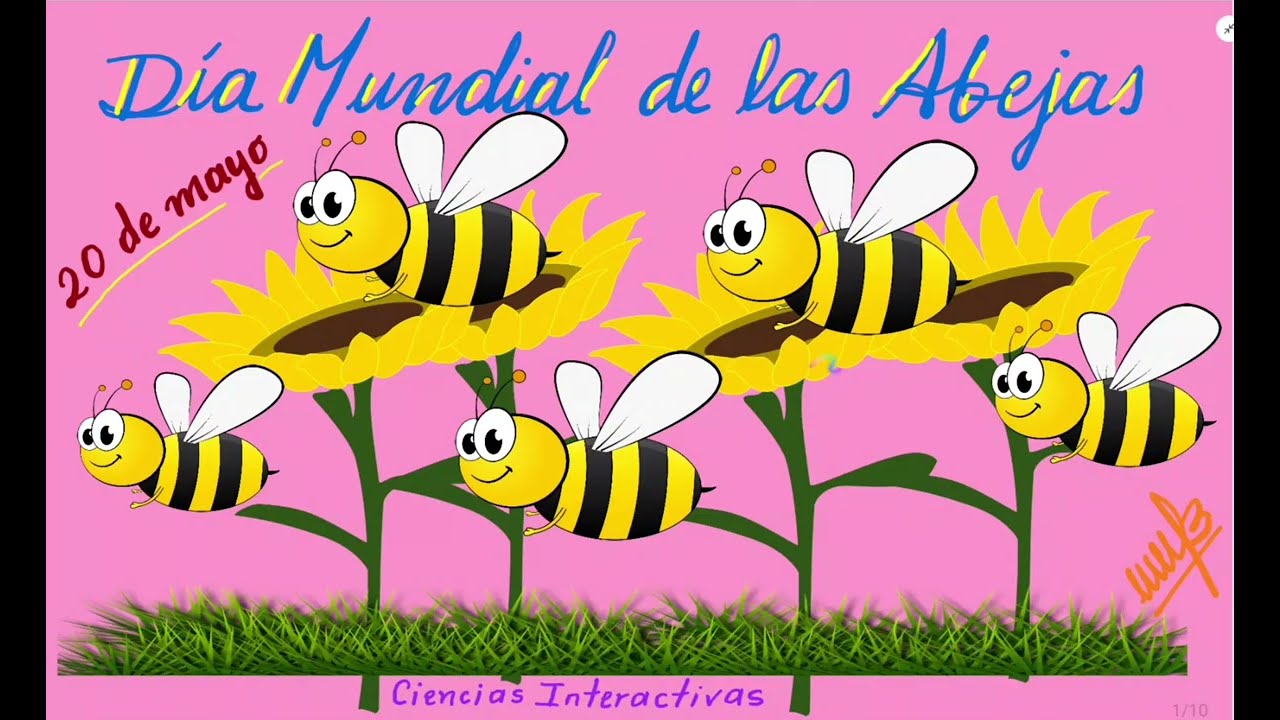DÍA MUNDIAL DE LAS ABEJAS 2025